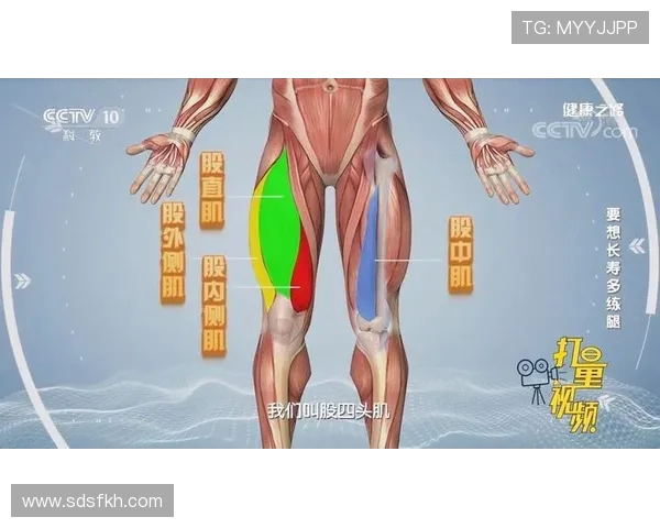 皇马官方：阿诺德左腿股四头肌股直肌损伤；据悉缺阵约两个月